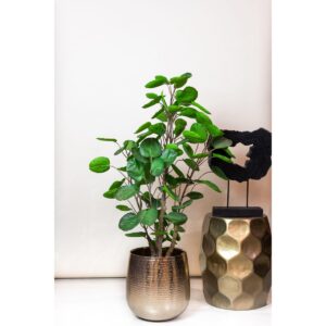 Kunstplant - Polyscias - Aralia - 105cm