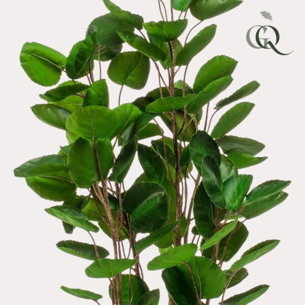 Kunstplant - Polyscias - Aralia - 105cm