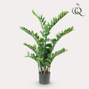 Kunstplant - Zamioculcas - Kamerpalm - 110cm