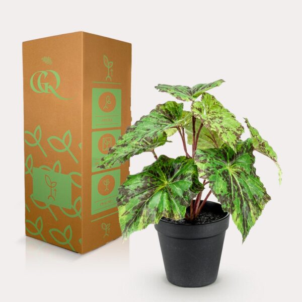 Kunstplant - Bladbegonia - 25cm