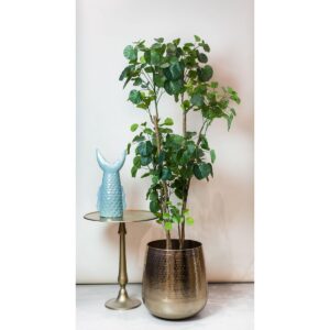 Kunstplant - Polyscias - Aralia - 160cm