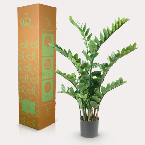 Kunstplant - Zamioculcas - Kamerpalm - 110cm