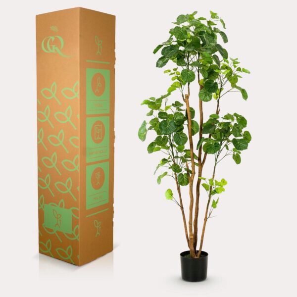 Kunstplant - Polyscias - Aralia - 160cm