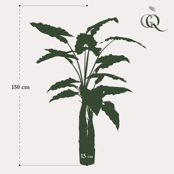 Kunstplant - Alocasia - Olifantsoor - 150cm