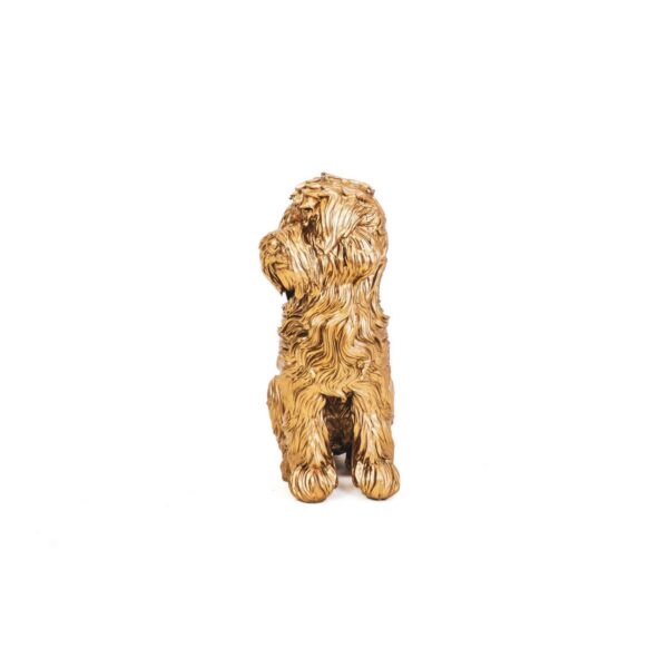 Housevitamin Labradoodle Hond - Goud