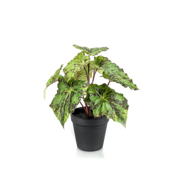 Kunstplant - Bladbegonia - 25cm