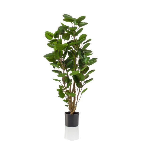 Kunstplant - Polyscias - Aralia - 105cm