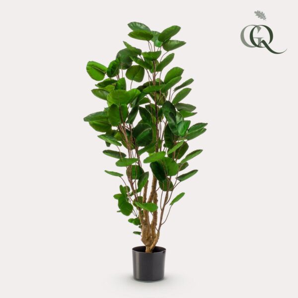 Kunstplant - Polyscias - Aralia - 105cm