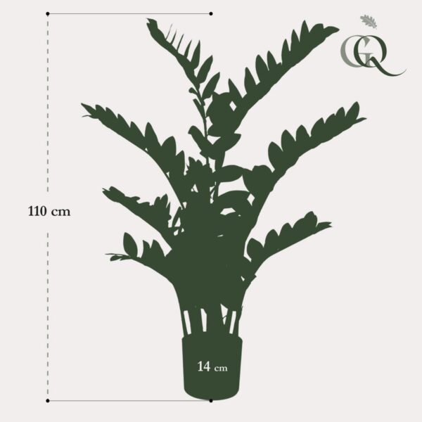 Kunstplant - Zamioculcas - Kamerpalm - 110cm