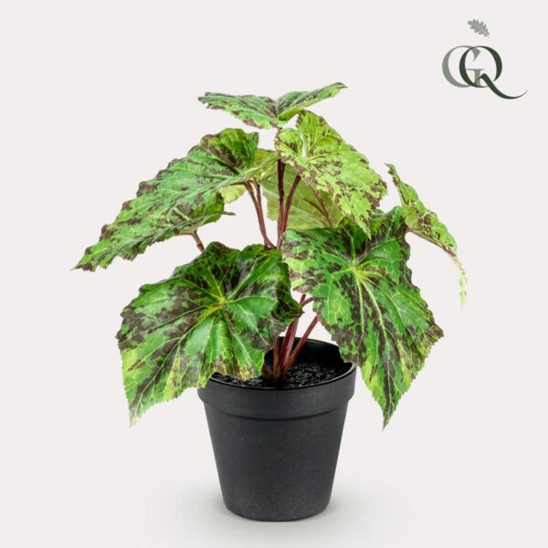 Kunstplant - Bladbegonia - 25cm