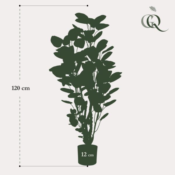 Kunstplant - Polyscias - Aralia - 105cm