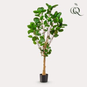 Kunstplant - Polyscias - Aralia - 150cm