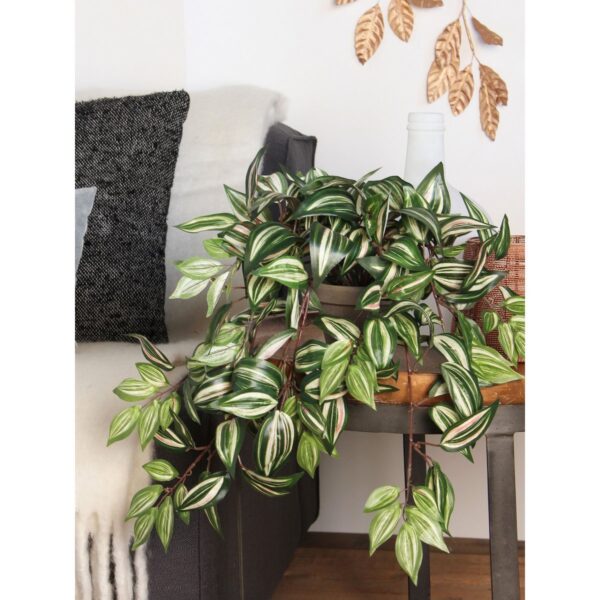 Tradescantia Hangplant in Bloempot Stan - Groen