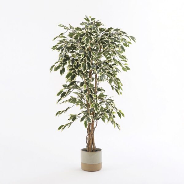 Ficus Kunstplant - H150xØ75cm - Groen