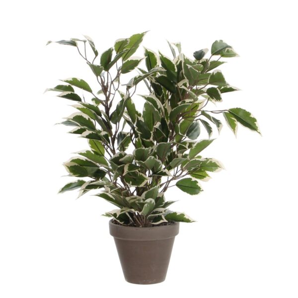 Ficus Natasja Kunstplant - H40xØ30cm - Groen