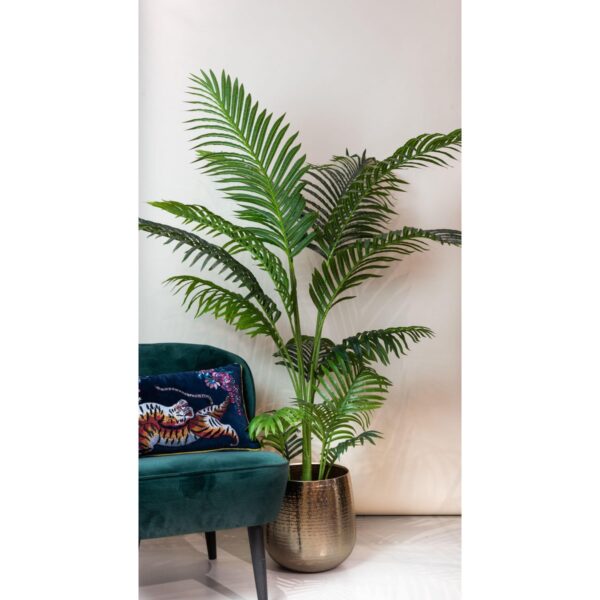 Kunstplant - Howea Forsteriana - 160cm