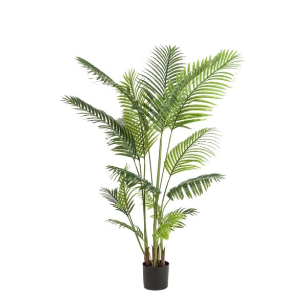 Kunstplant - Howea Forsteriana - 160cm