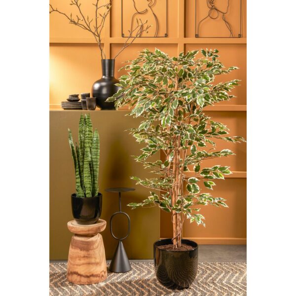 Ficus Kunstplant - H180xØ90cm - Groen Bont